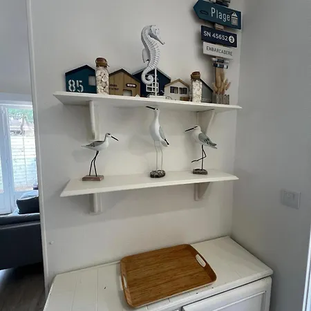 A L'ombre Des Pins Tatil Evi La Terriere